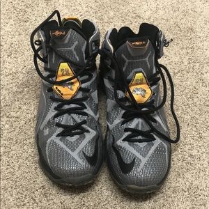 Nike lebron 12